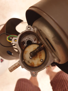 Photo of object