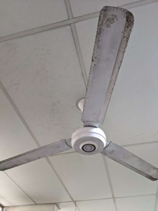 Photo of object